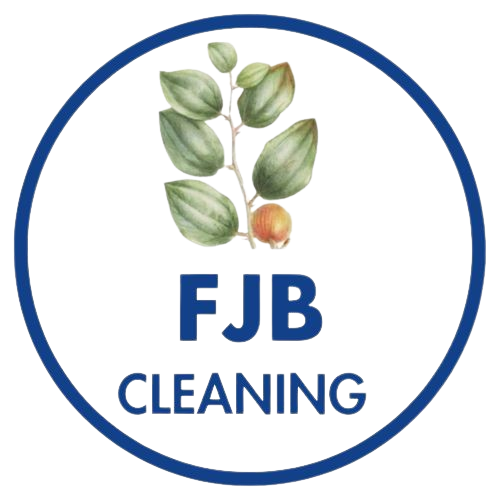 FJB CLEANING LLC
